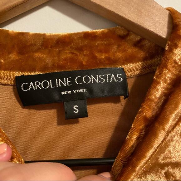 Caroline Constas Golden Tan Velour Velvet Sexy Long Sleeve Mini Dress Small - Picture 9 of 9
